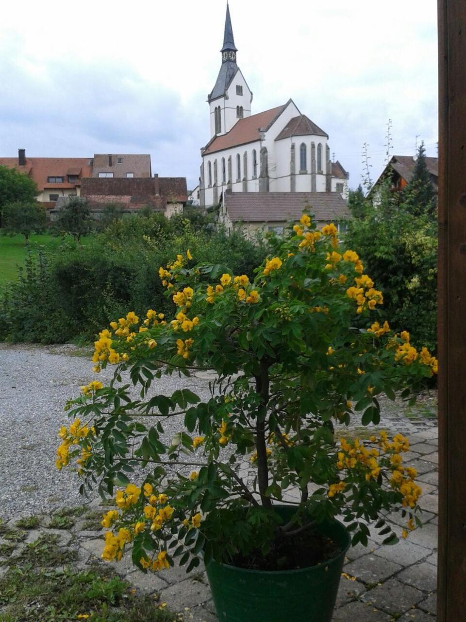 Ferienhaus Keller Lippertsreute Экстерьер фото